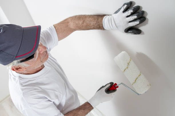 Best Drywall Sanding and Smoothing  in Cornville, AZ