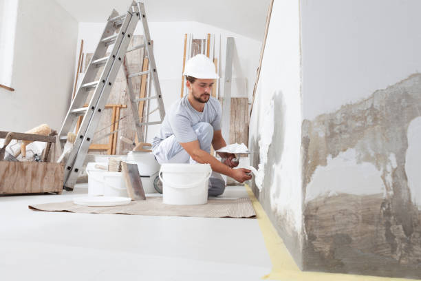 Best Wallpaper Removal and Painting  in Cornville, AZ