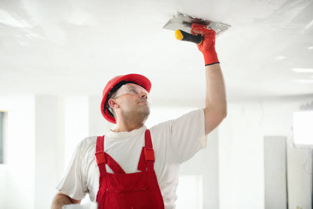 Best Ceiling Drywall Installation  in Cornville, AZ